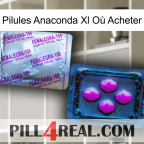 Pilules Anaconda Xl Où Acheter 37